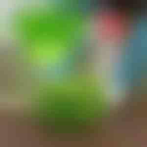 Чувајте ги штетниците подалеку со VEGISHIELD (10 парчиња)