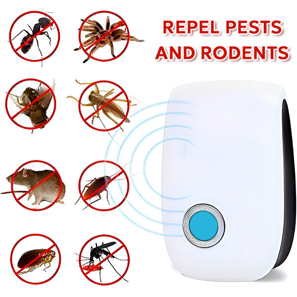 EN-BUGBUSTER13651__eb276d36