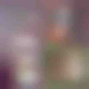 Склоплив рафт со 5 нивоа | FOLDWAY