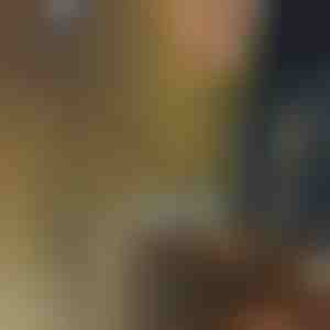 Бур за вртежен бушач за градинарство | HOLEDRILL