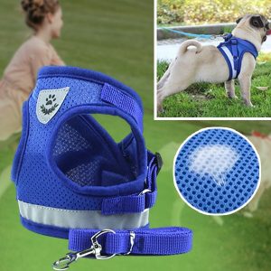 Прилагодлива рефлектирачка ограда и поводец | LEASHNGO