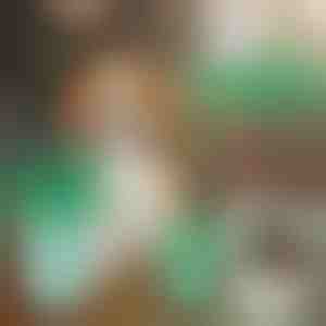 Чаша за чистење на шепи на кучиња | PAWSANI