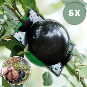 Кутија за размножување за здрави корени (5 парчиња) | ROOTY