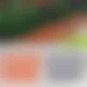 Ограда за градина со изглед на тула | TERRABARIC