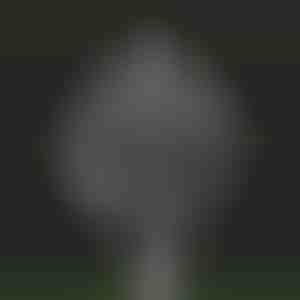 Магичен кинетички млин за ветер за градина | WINDARA