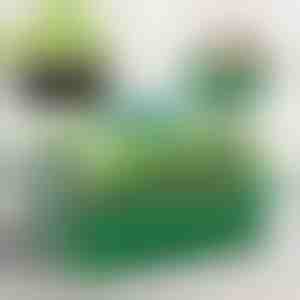 Сад со прегради за одгледување садници | PLANTURKA