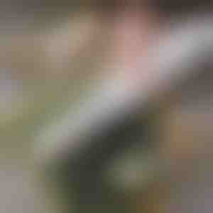 Лесен Домашен Суши Ролер | СУШРОЛИО