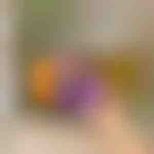 Организатор за фрижидер со автоматско лизгање | DRINZER