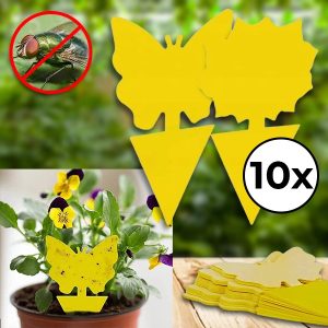 Лепливи капани за муви (10 парчиња) | BUGILURE