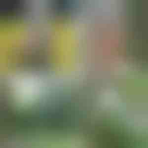 Пренослив туш | HYDROPORT