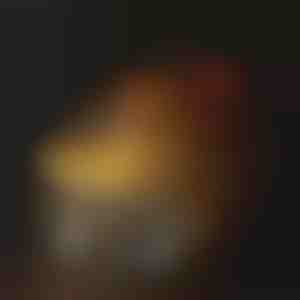 Фонтана за хидратација за миленици | PETSPRINGLE