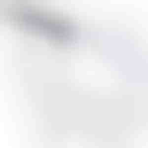 Комплет за испуштање на сопирачки | BLEEDHOSE