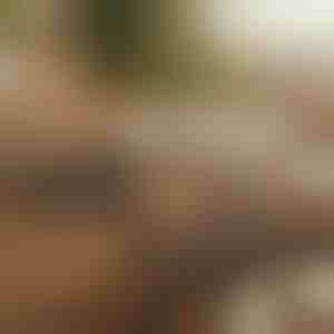 Магнетен самолеплив организатор за кабли (12 парчиња) | CABLIP