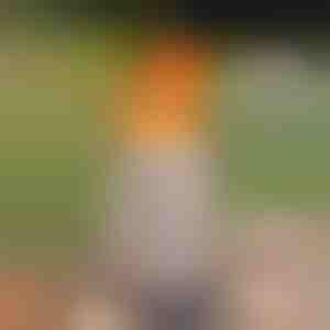 Пренослив бездимeн масичен огниште | FIRENOVA